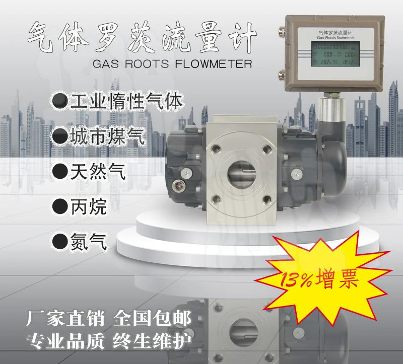 電池供電羅茨流量計產品圖